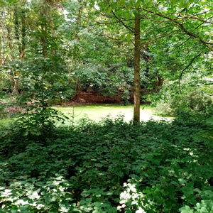 Dreamtopia (Instrumental Version)