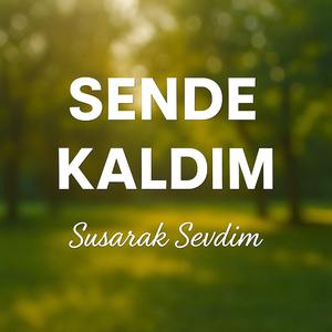 Sende Kaldım