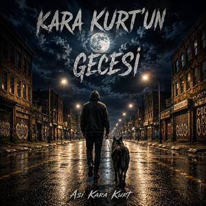 KARA KURT'UN GECESİ