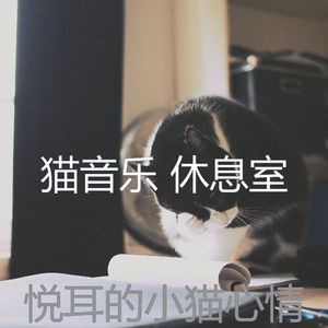 微妙的睡猫心情