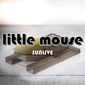 little mouse