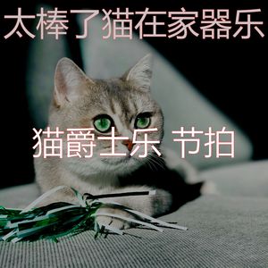 微妙的小猫心情