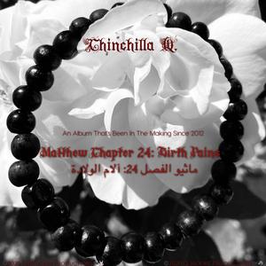 A Word from Chinchilla Q.