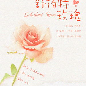舒伯特玫瑰
