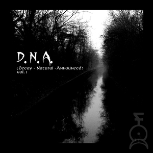 Dominance - Into the Fog