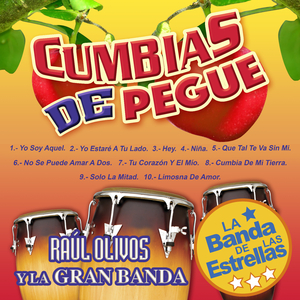 No Se Puede Amar A Dos