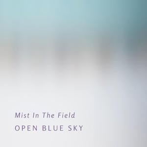 Mist In The Field