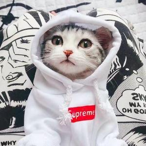 Panta.Q-Do you like to **** railings？（Set Mix）（DJ Xiaoliin remix）