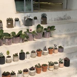 初雪等待(Prod.百川,Feat.NKU炬变说唱)