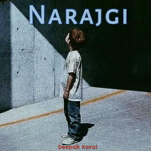 Narajgi