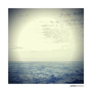 Transience