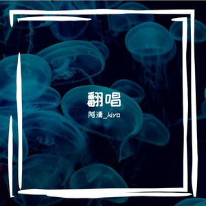 风，雾，阳光和你