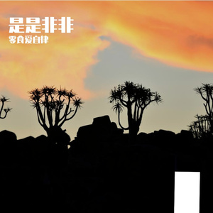 是是非非