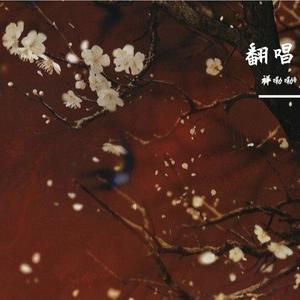 盗墓笔记·十年人间