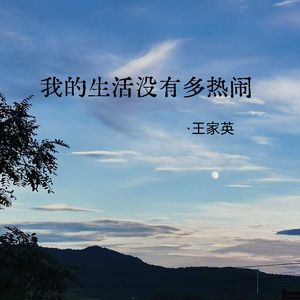 我的生活没有多热闹