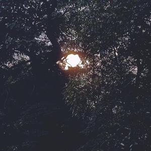 Lil Jet-暴雨（陈梓鹏 remix）