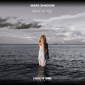 Back to You (Extended Mix)