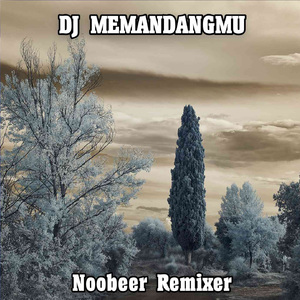 DJ MEMANDANGMU (Remix)