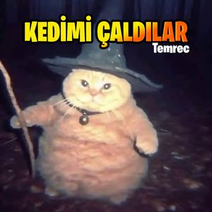 Kedimi Çaldılar