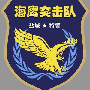 海鹰之歌-盐城特警海鹰突击队队歌