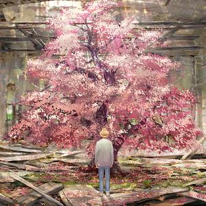 樱花樱花想见你（Cover RSP）