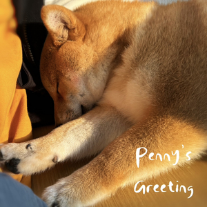 Penny's Greeting