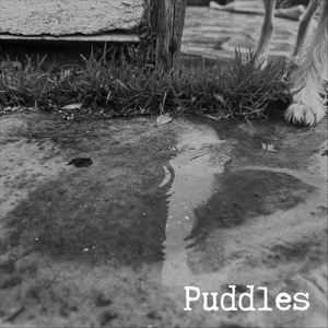 It's Been a While Since Things Fell Apart