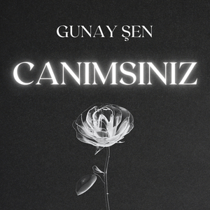 Canimsiniz