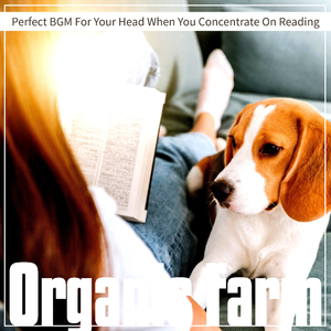 In the Pages of the Story