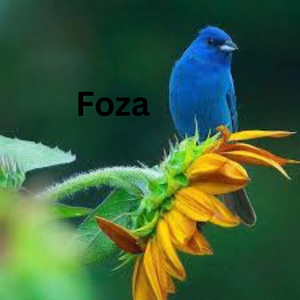 Foza
