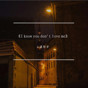 《I know you don't love me》