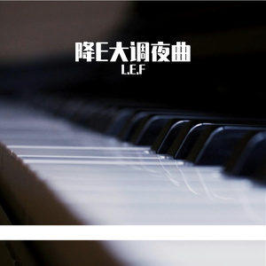 降E大调夜曲