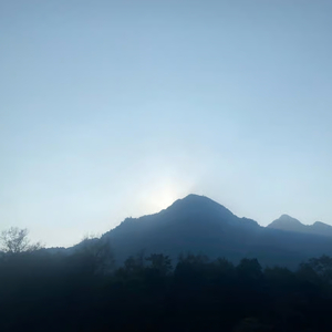 あなたを失いましたどうすればいいですか?