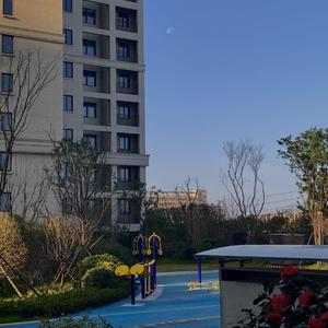 The rain of flowers(Prod.JACKWAVY)