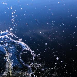 La Precencia de Niebla en El Paraíso