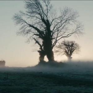 北方的南（翻自 江北）