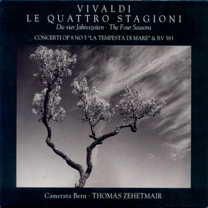 Violin Concerto in E-Flat Major, Op. 8, No. 5, RV 253, "La tempesta di mare": I. Presto