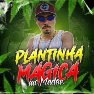 Plantinha Mágica