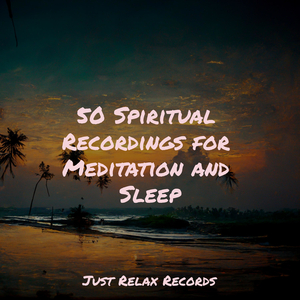 Tranquil Veil of Quiet