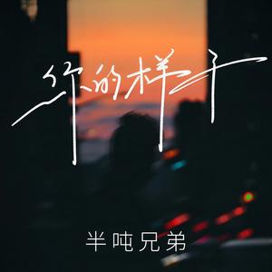 你的样子