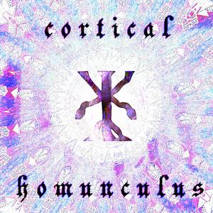Cortical Homunculus