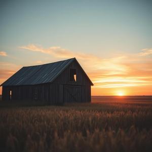 Hard Times in the Heartland