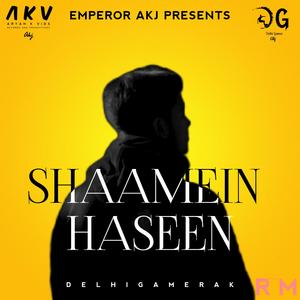 Shaamein Haseen