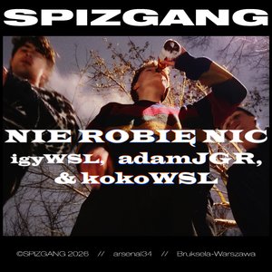 Nie Robię Nic