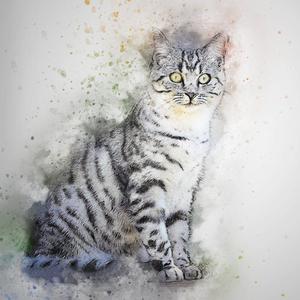 【FREE】我还好,那你呢?