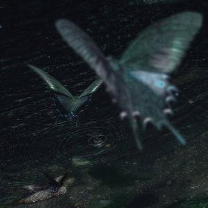 孱弱呼吸(product.aura+moneyxo+flex)