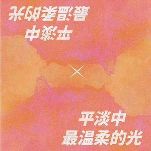 平淡中最温柔的光