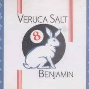 Never Met Her [Demo]