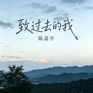 致过去的我