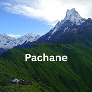 Pachane
